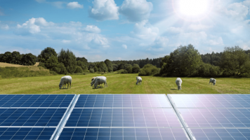 A solar panel in a tree-lined field of sheep on a sunny day