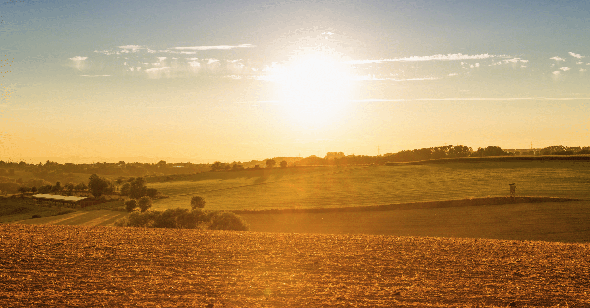 Country field with sunset