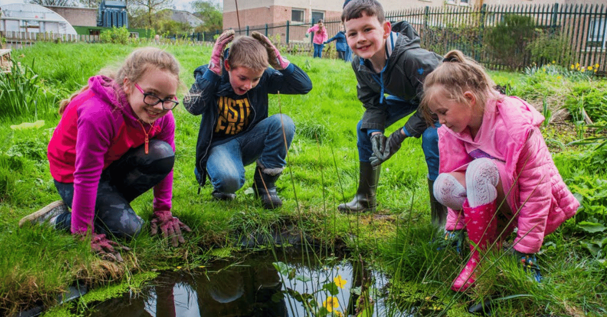 Climate Emergency Community Action Programme (CECAP)